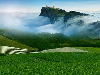 o(lin)W+Ĳ,(chung)I(y)¿g